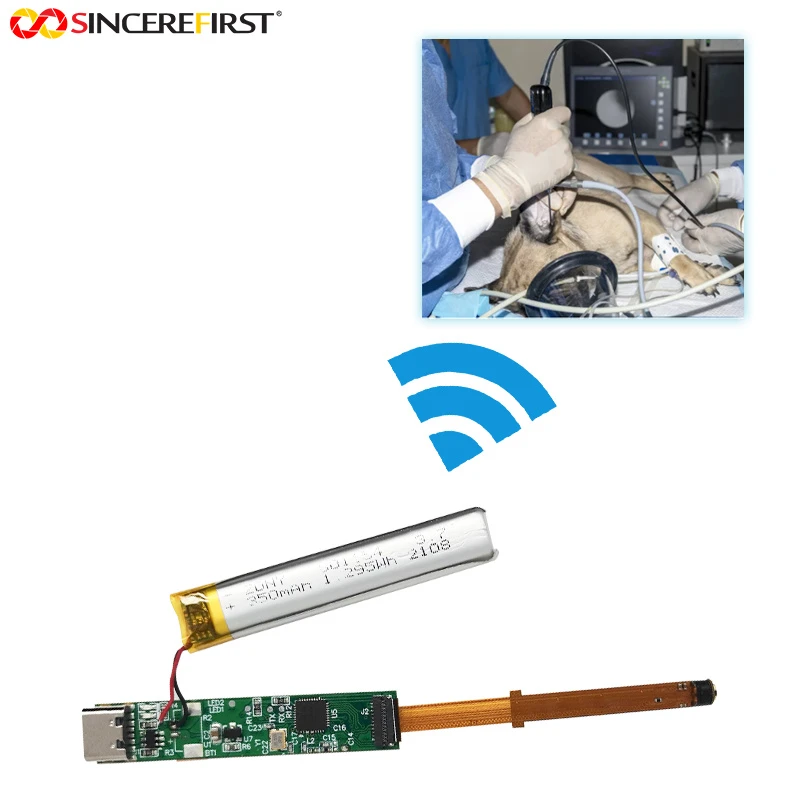 product-800-800 product-800-800