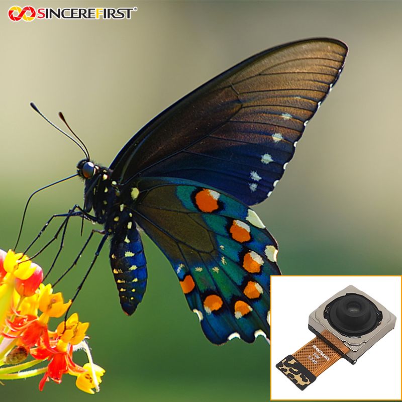 product-800-800
